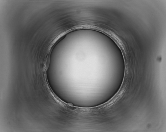 X0000101151385200806270749