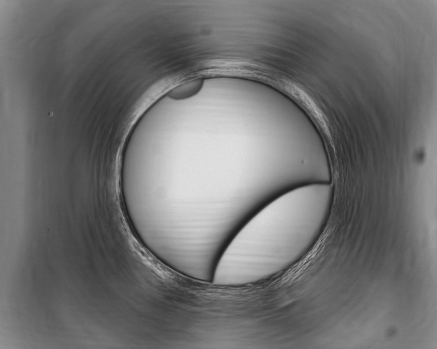 X0000101151386200806270749