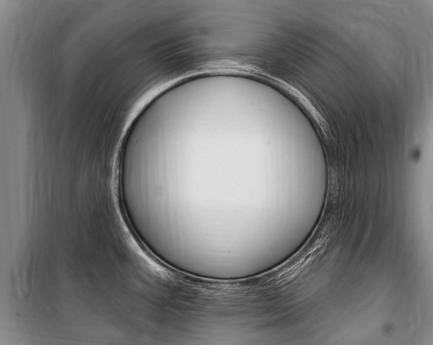 X0000101151387200806270749