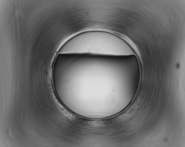 X0000101151388200806270749