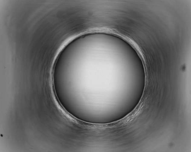 X0000101151389200806270749