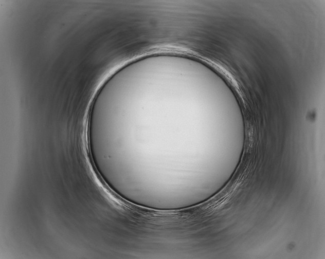 X0000101151391200806270749