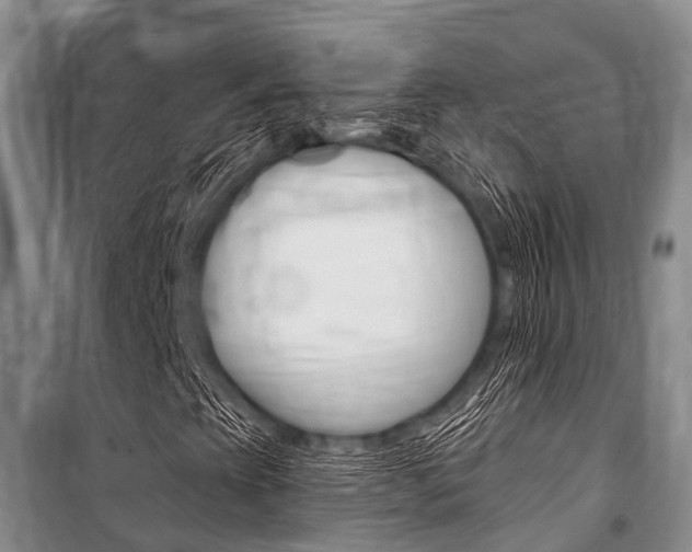 X0000101151393200806270748