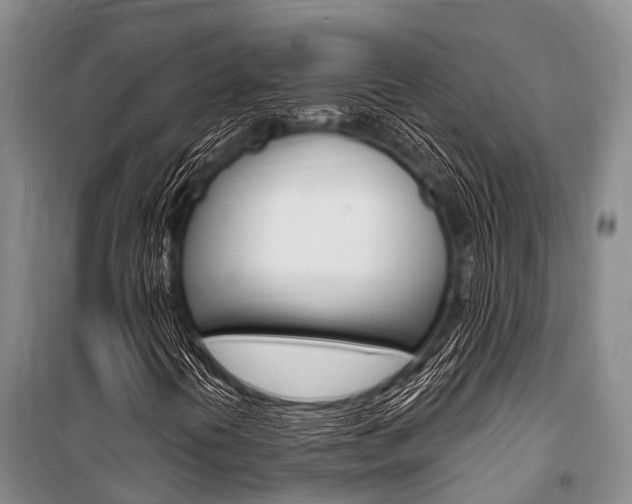 X0000101151394200806270748