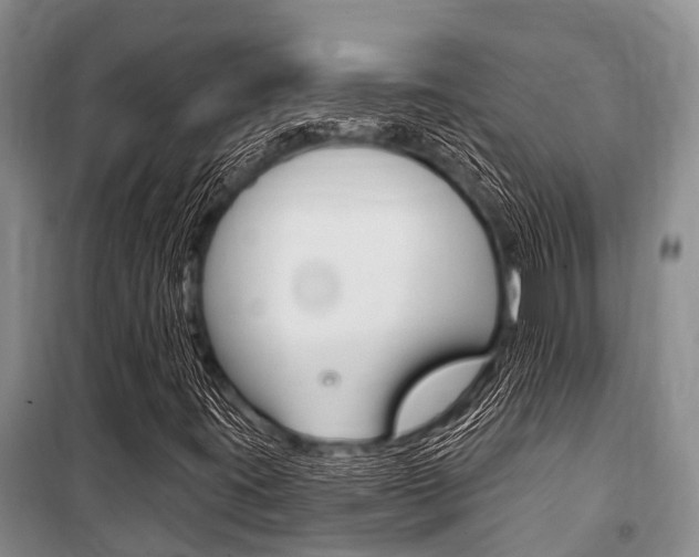 X0000101151395200806270748