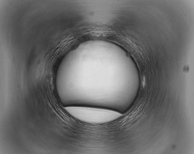 X0000101151396200806270748