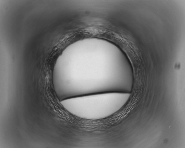 X0000101151397200806270748