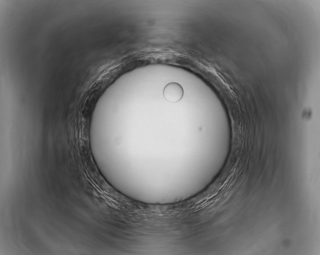 X0000101151399200806270748