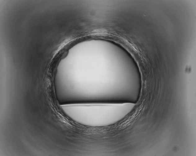 X0000101151400200806270749