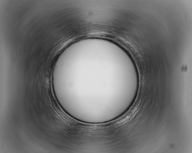 X0000101151401200806270749