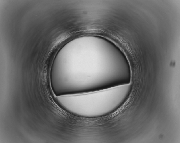 X0000101151402200806270749