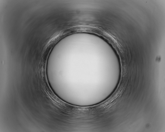 X0000101151403200806270749