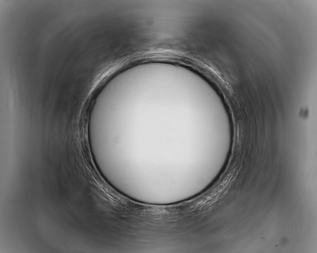 X0000101151405200806270749