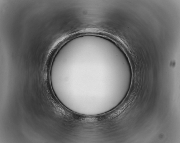 X0000101151406200806270749