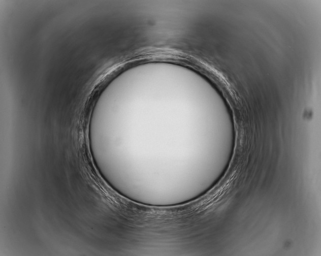 X0000101151407200806270749