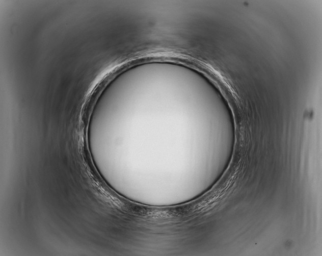 X0000101151408200806270749