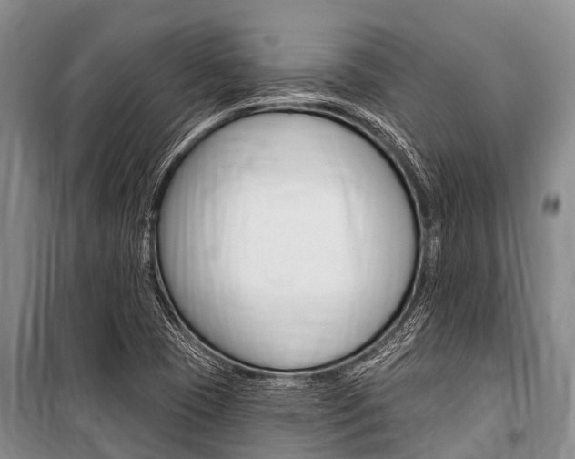 X0000101151409200806270749