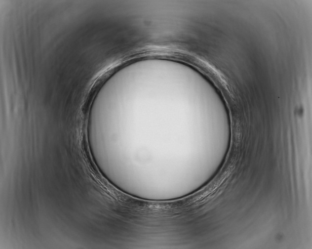 X0000101151411200806270749