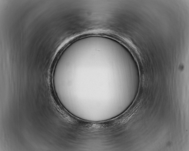 X0000101151412200806270749