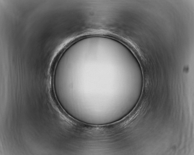 X0000101151414200806270749
