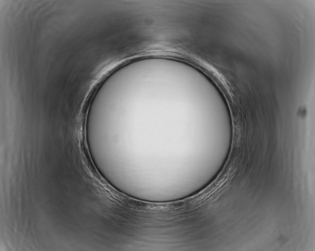 X0000101151415200806270749