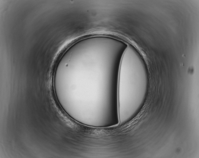X0000101151416200806270749
