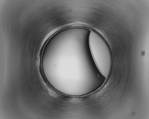 X0000101151418200806270749