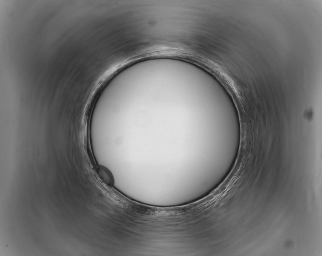 X0000101151419200806270749