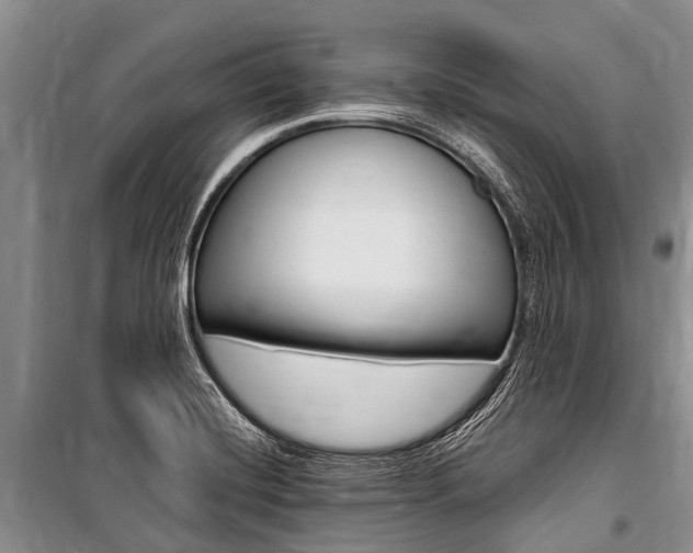 X0000101151420200806270749