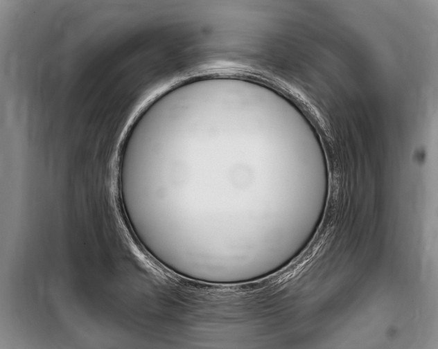 X0000101151421200806270749