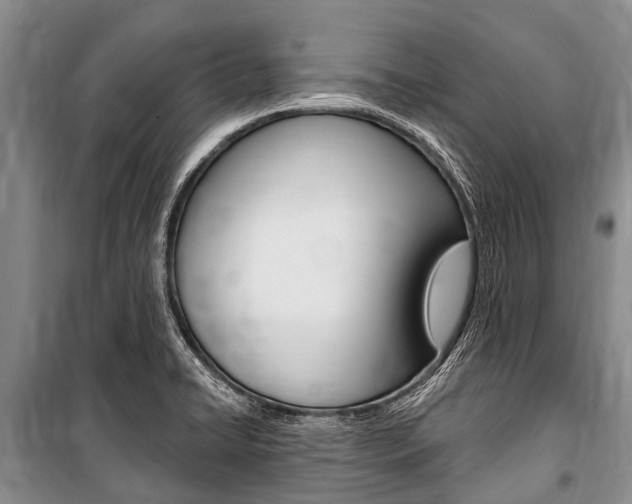 X0000101151422200806270749