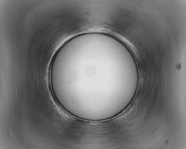 X0000101151423200806270749