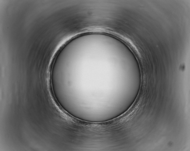 X0000101151424200806270749