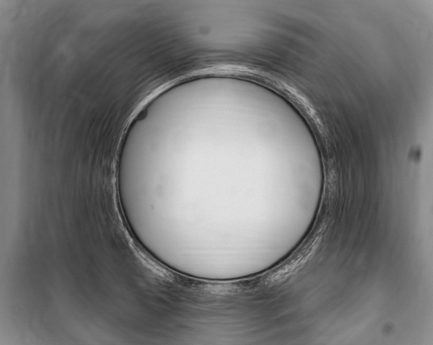 X0000101151425200806270749