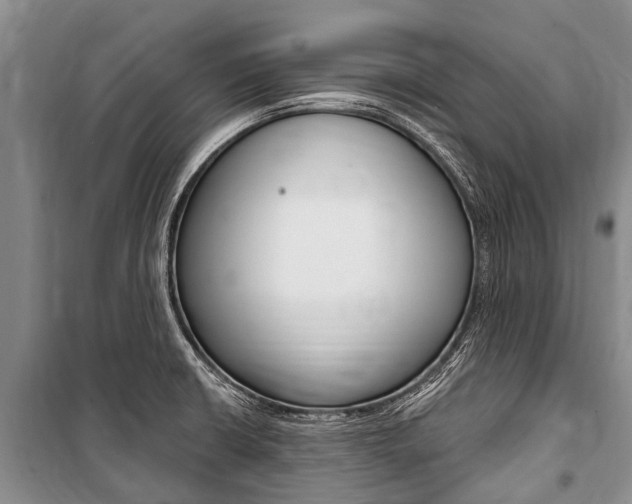 X0000101151426200806270749