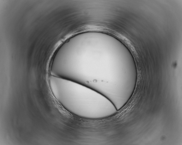 X0000101151427200806270749