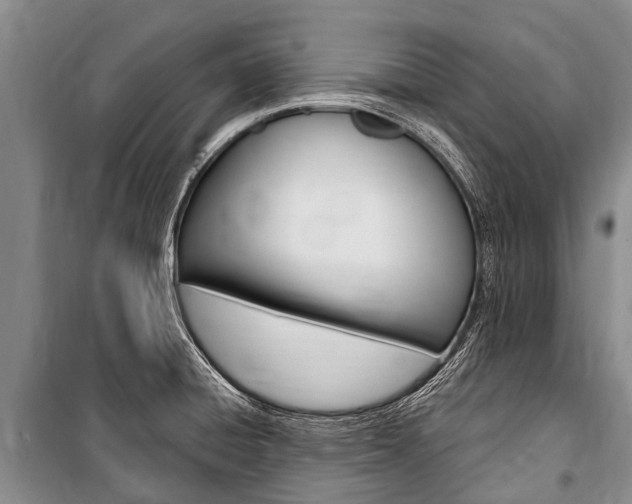 X0000101151428200806270749