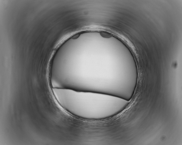 X0000101151429200806270749