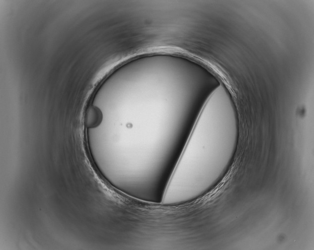 X0000101151430200806270749