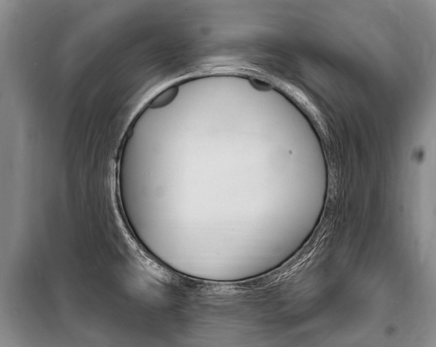 X0000101151431200806270749