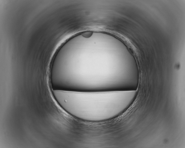 X0000101151432200806270749