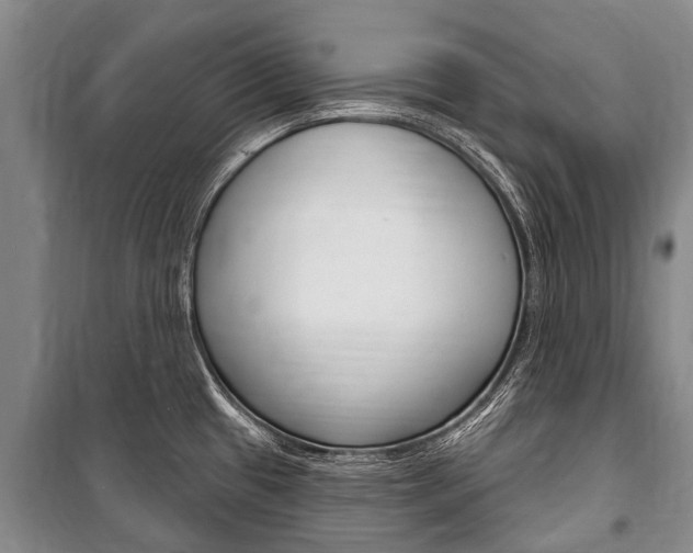 X0000101151433200806270749