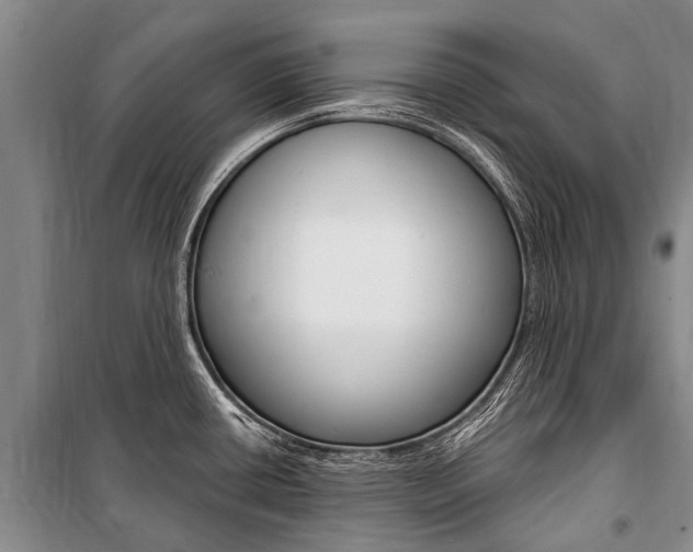 X0000101151434200806270749