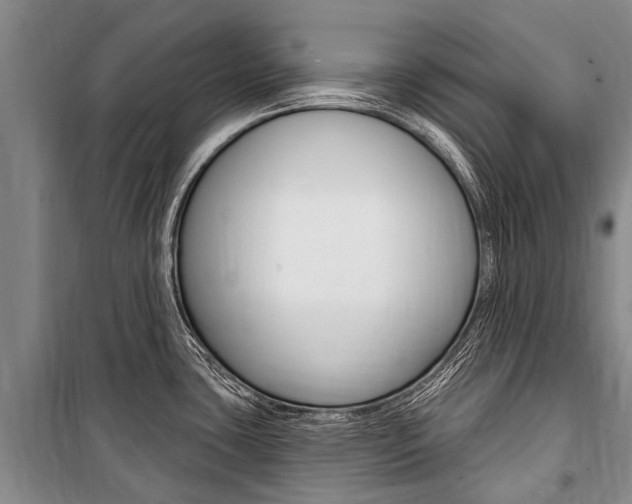 X0000101151435200806270749
