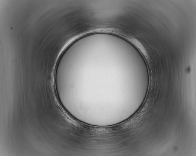 X0000101151436200806270749