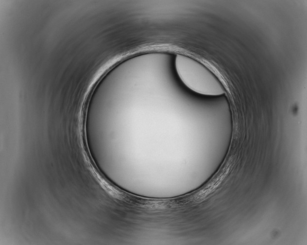X0000101151438200806270749