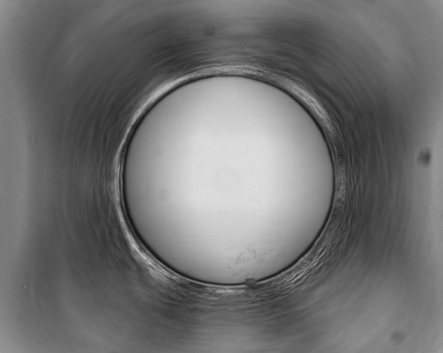 X0000101151439200806270749