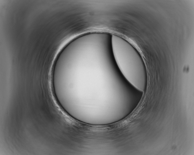 X0000101151440200806270749