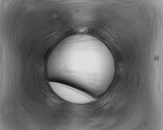 X0000101151442200806270748