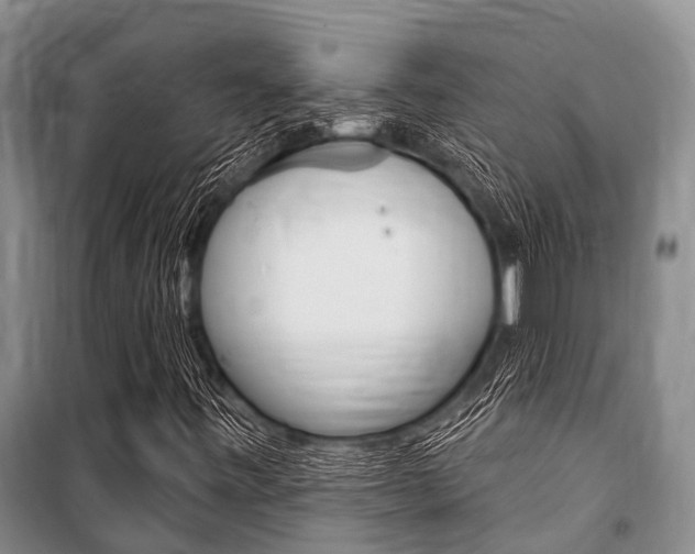 X0000101151443200806270748
